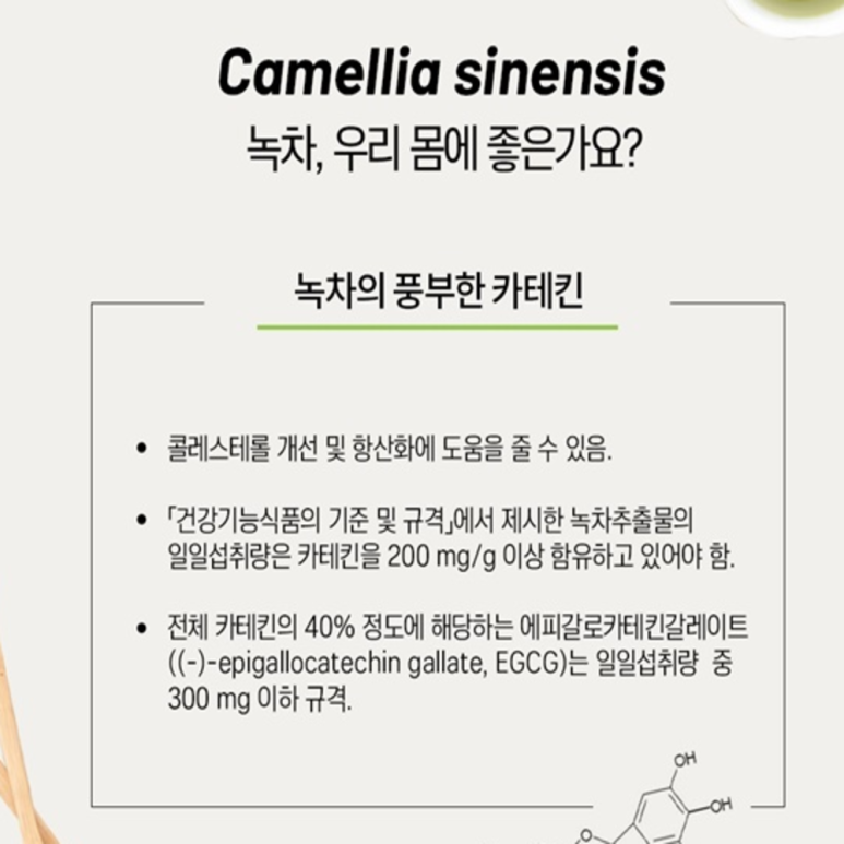 바디플러스핏 이미지