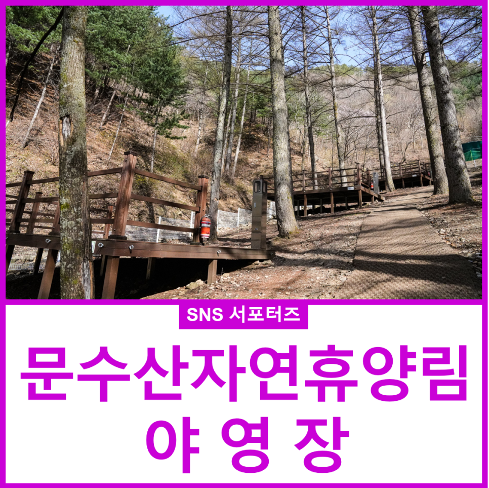 문수산 자연휴양림 야영장 이미지
