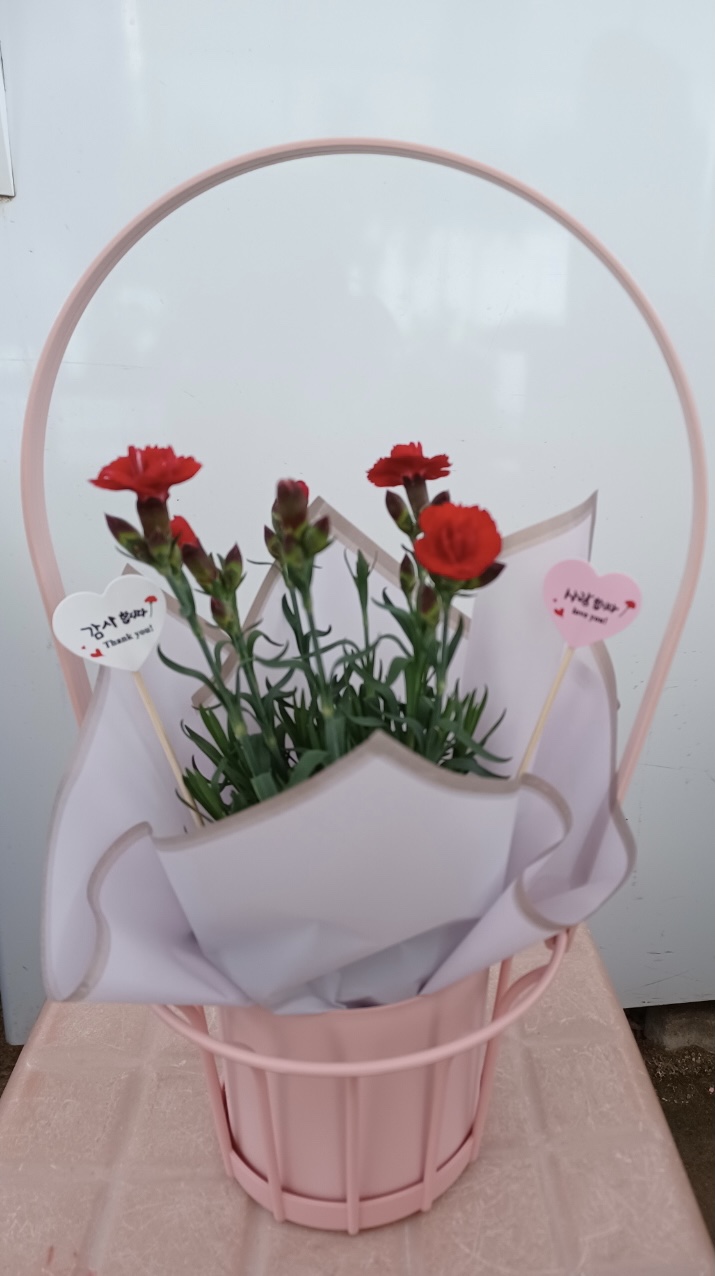 내수농협하나로마트 이미지