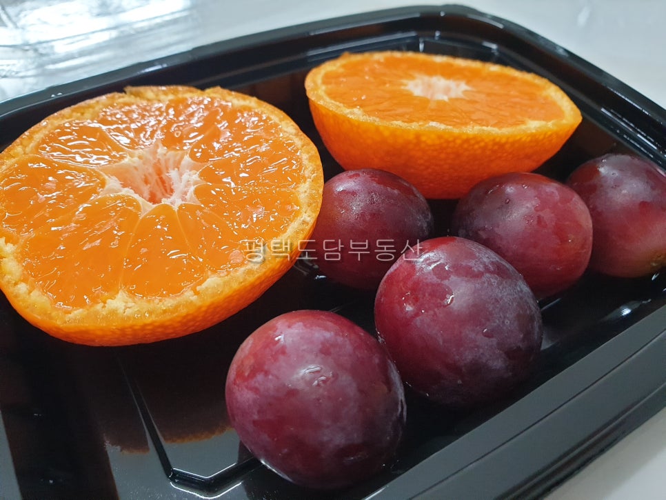 푸르타스 이미지