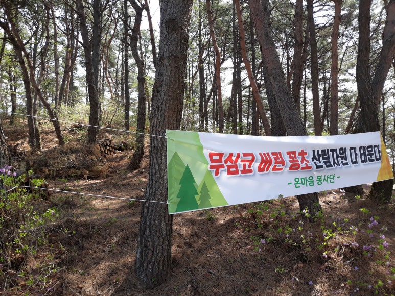 숲과벗 이미지