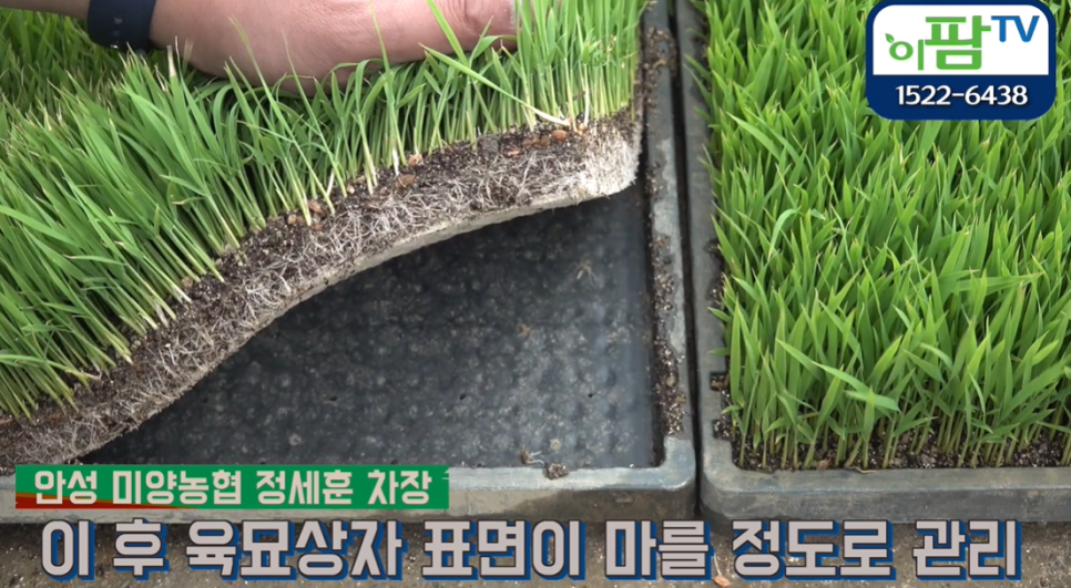 미양농업협동조합 이미지