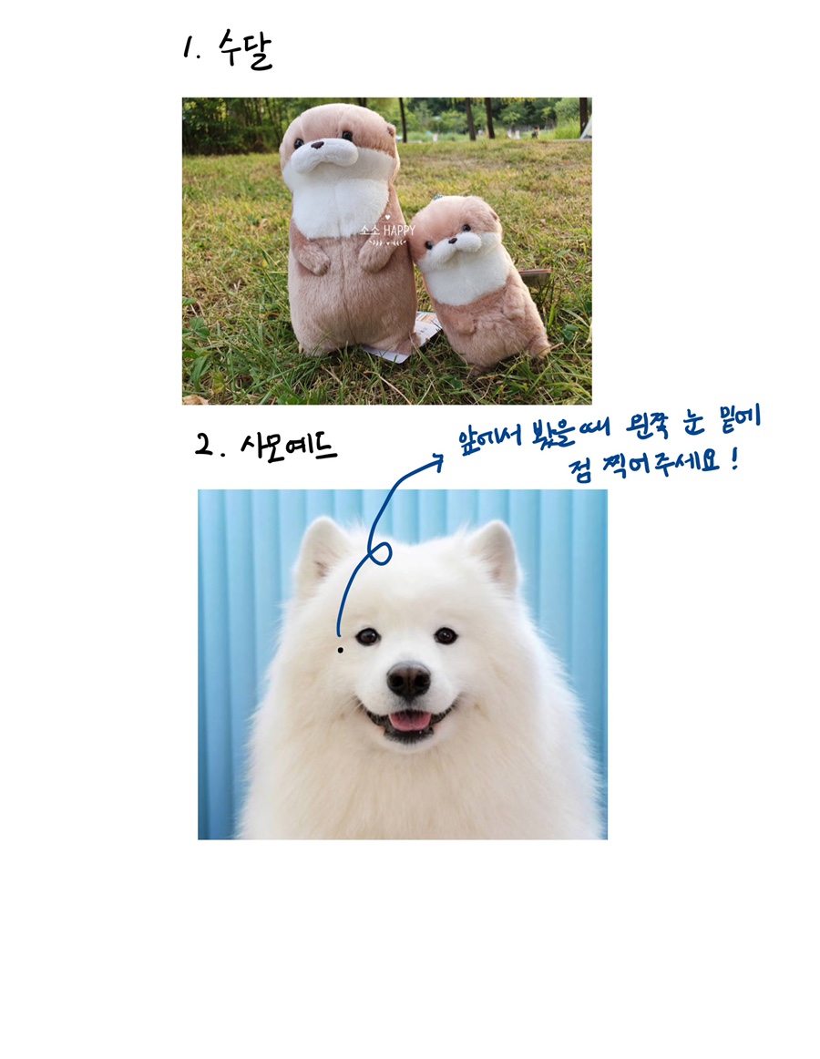 키먼트 이미지