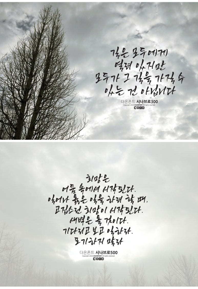 디자인시나브로 이미지