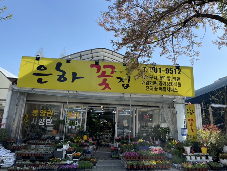 은하꽃집 이미지