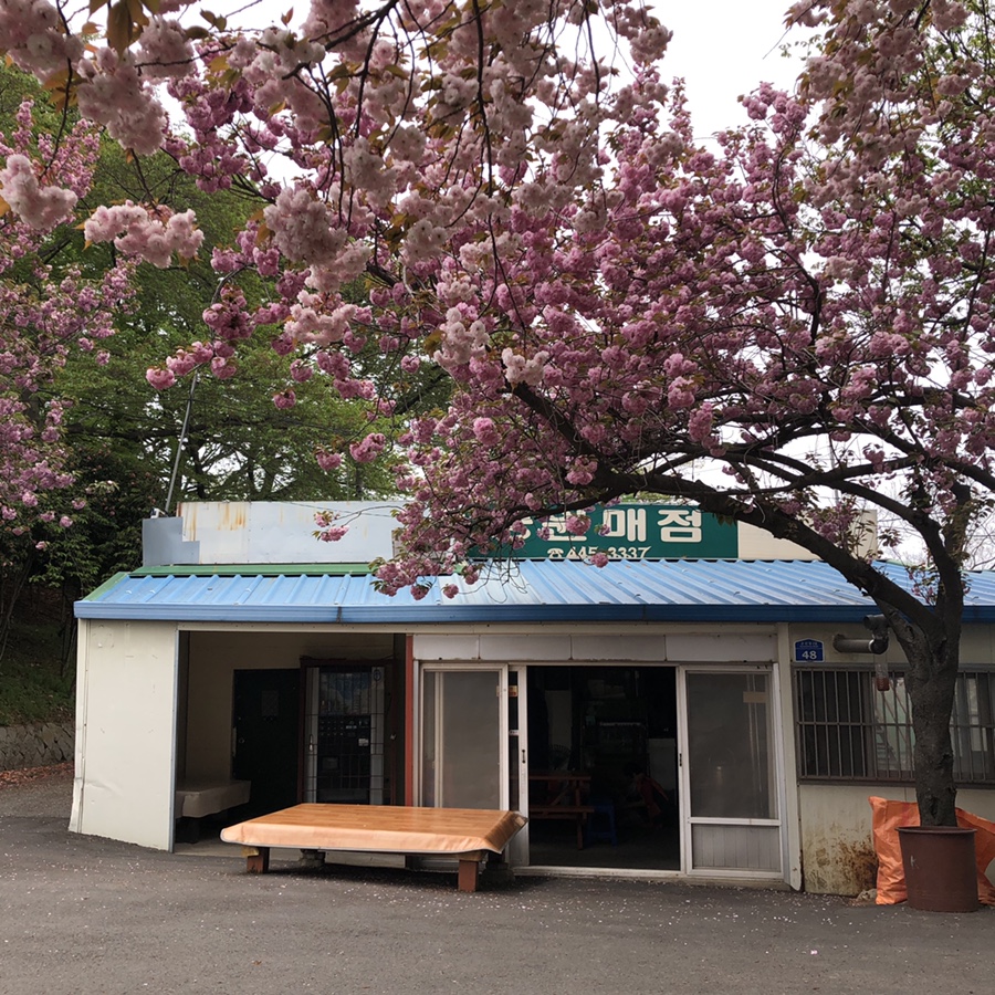 세그루매점 이미지