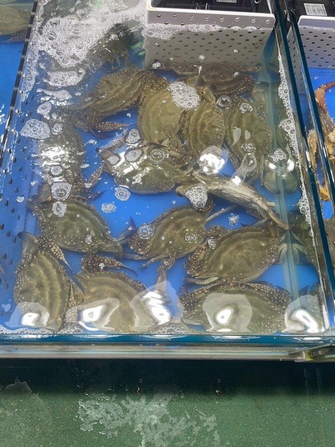 삼우상회 이미지