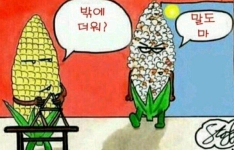 요기초장집어때 이미지