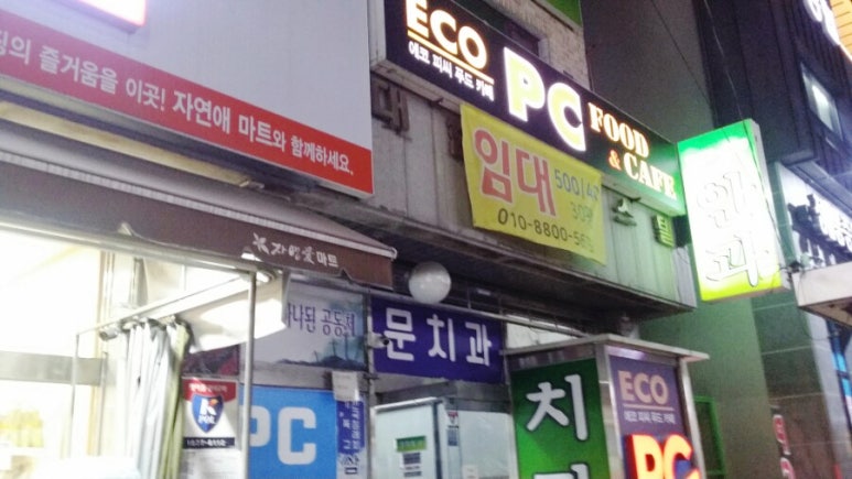 에코피시방 이미지