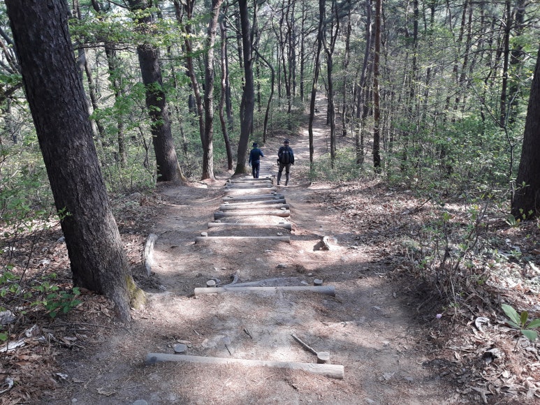 숲과벗 이미지