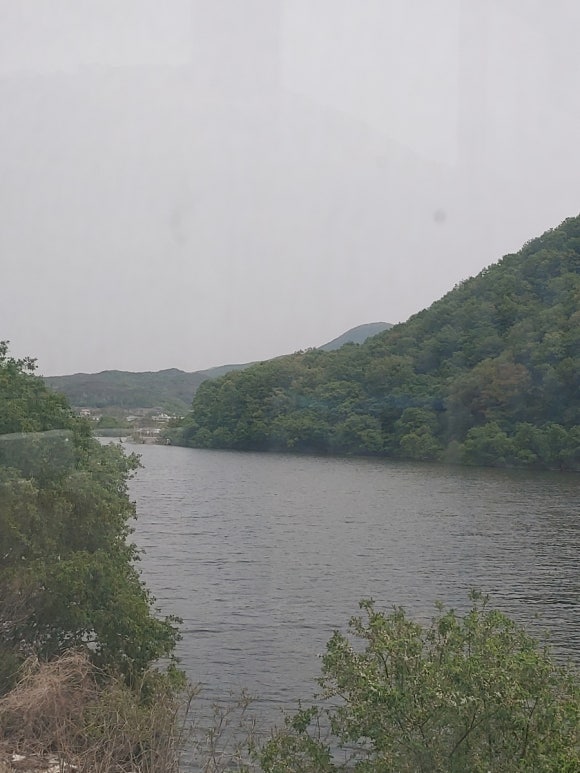 갤러리세런디피티 이미지