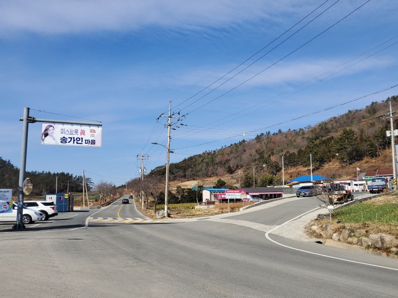 카페꽈배기어라 이미지