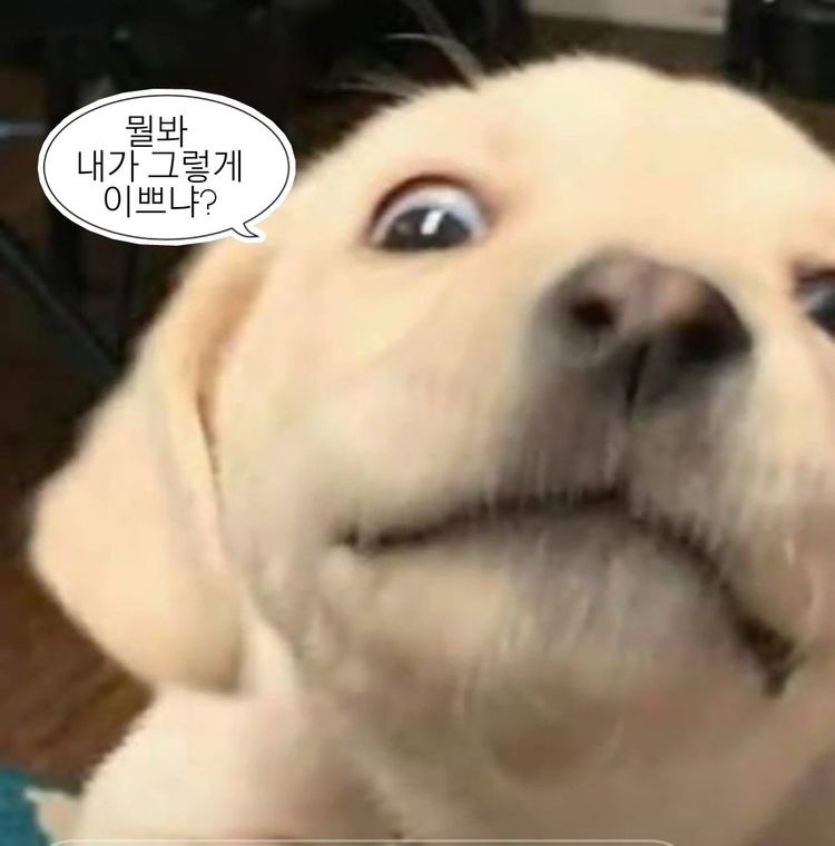 양말사 이미지