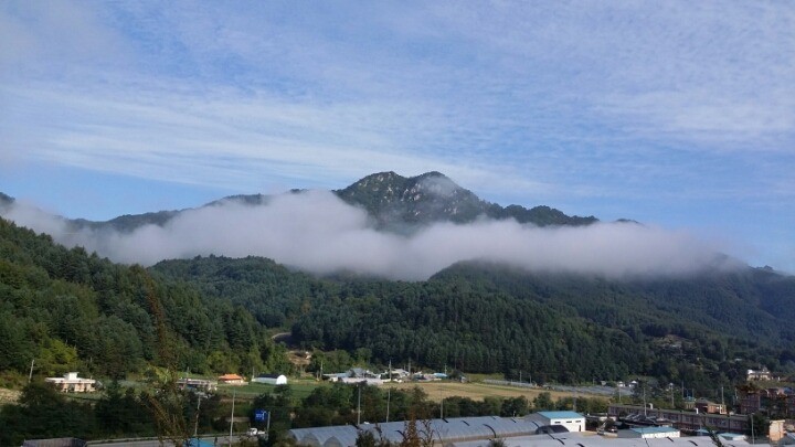 석화산농장 이미지