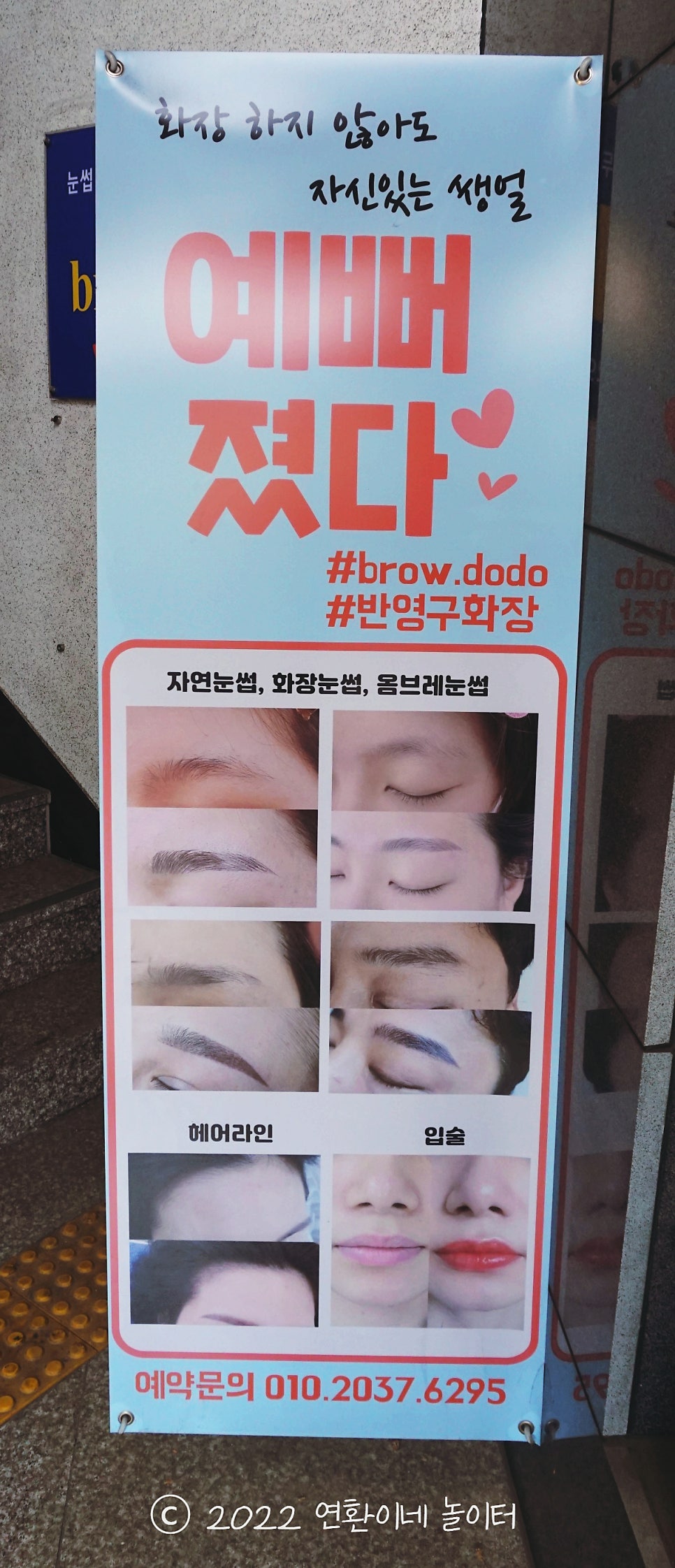 도도브로우 이미지