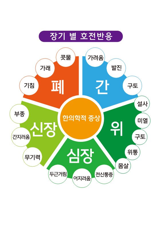 자연가 이미지