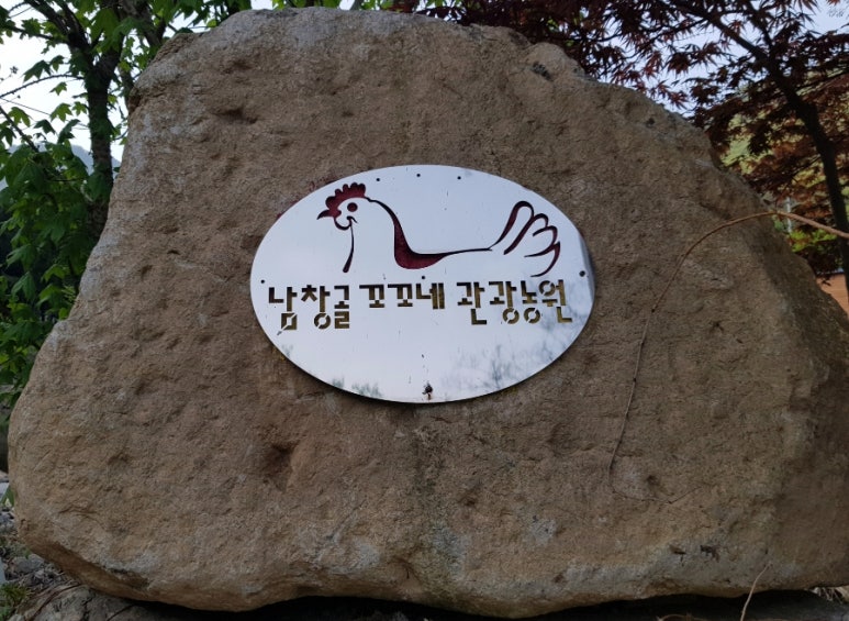 남창골농원 이미지