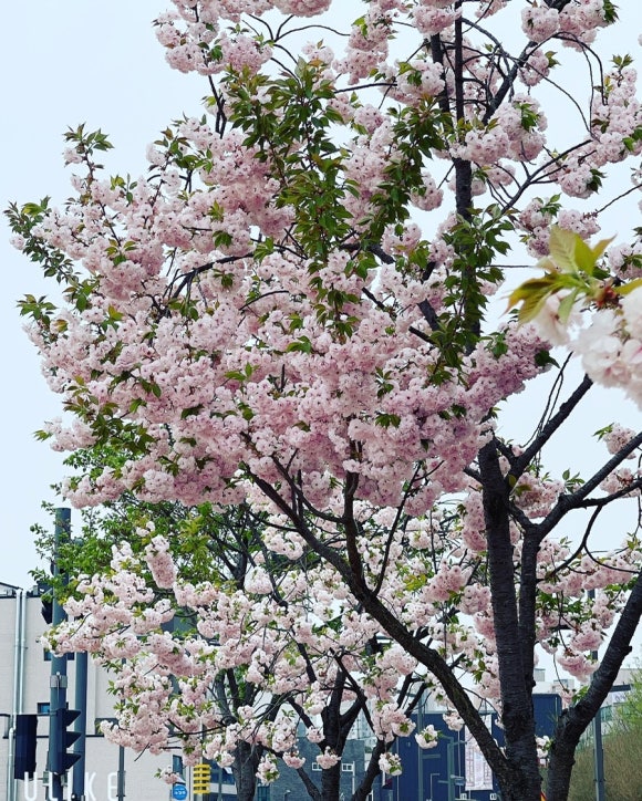 혜전대미용실 이미지