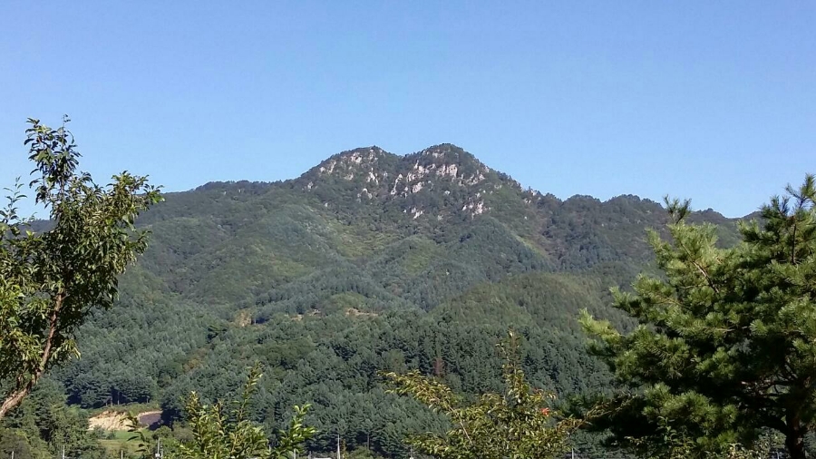 석화산농장 이미지