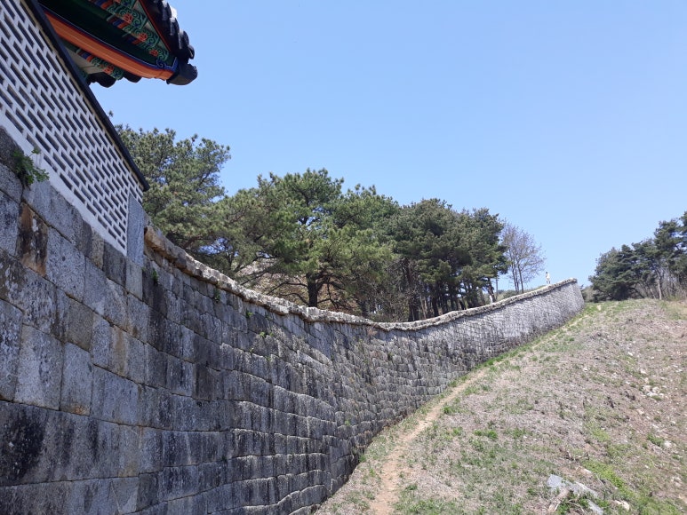 숲과벗 이미지