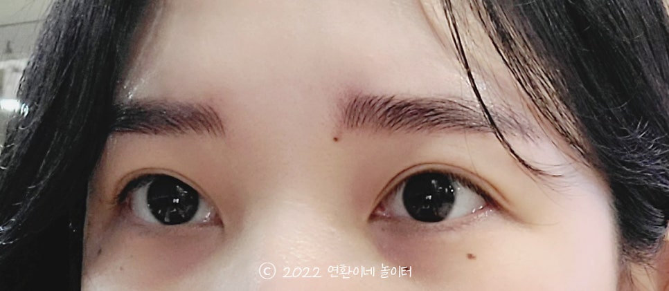 도도브로우 이미지