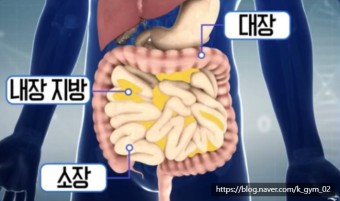 위드줌바 이미지