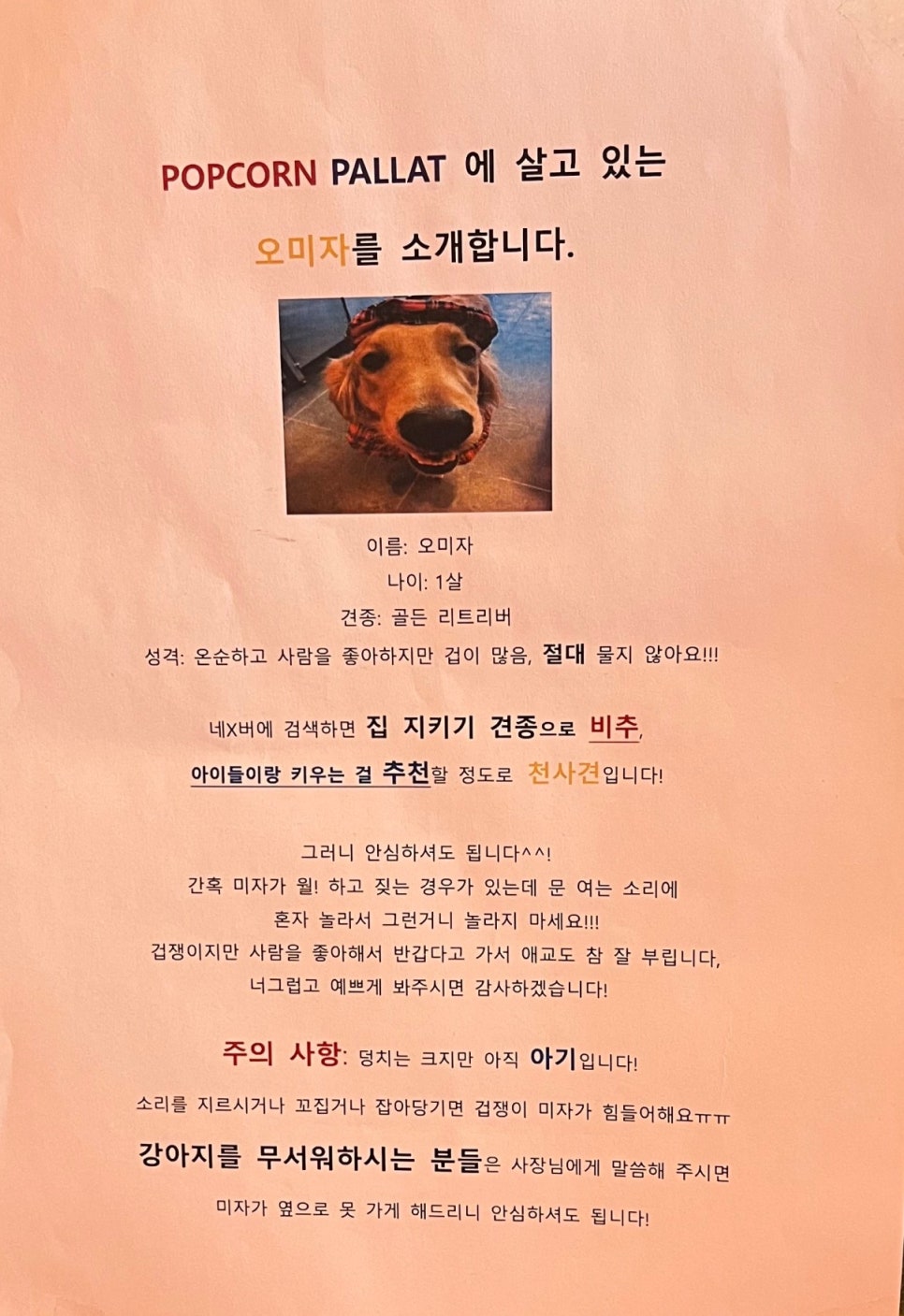팝콘팔라트 이미지