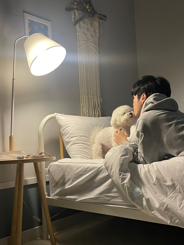 슈가몽 이미지