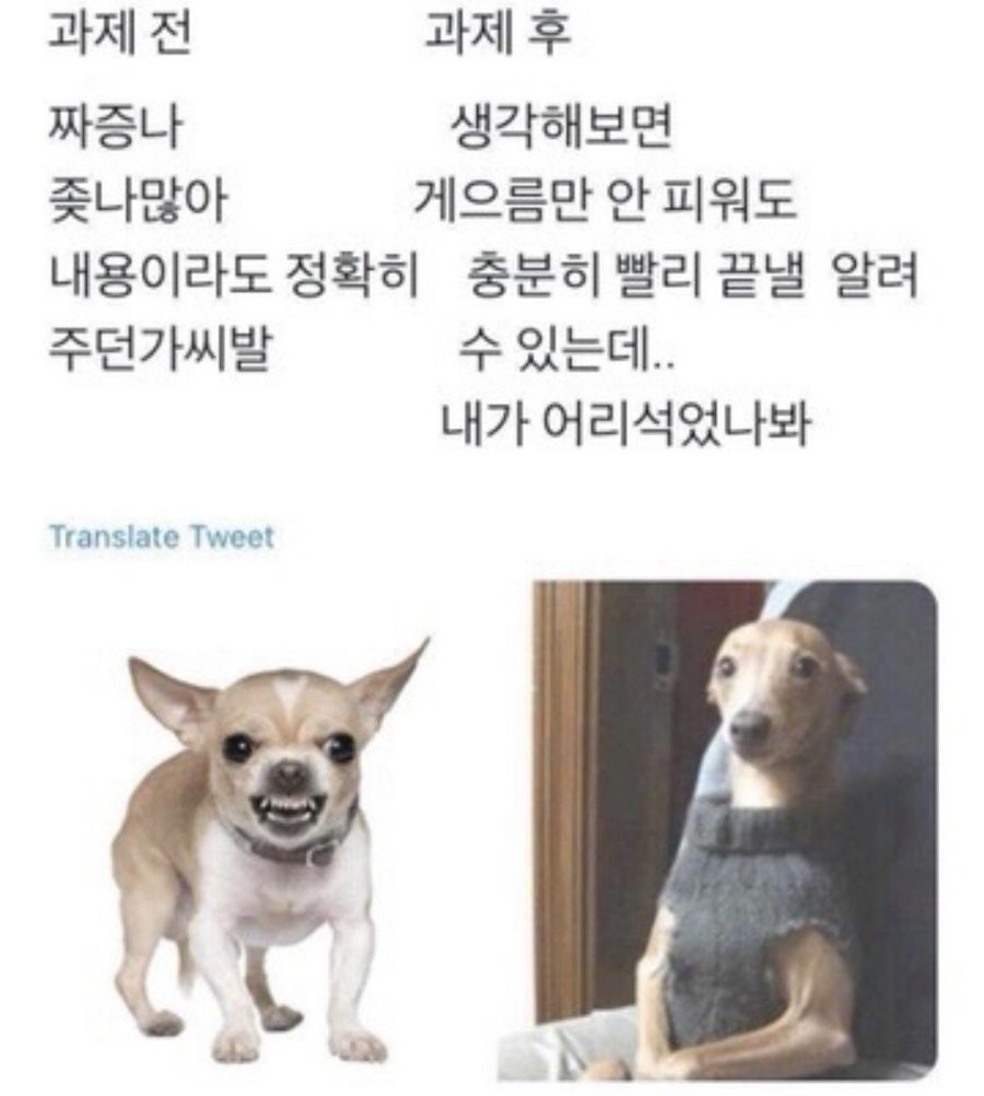 제로썸 이미지