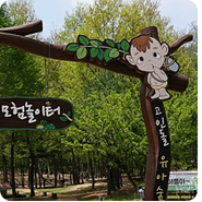 고인돌 유아숲체험원 이미지
