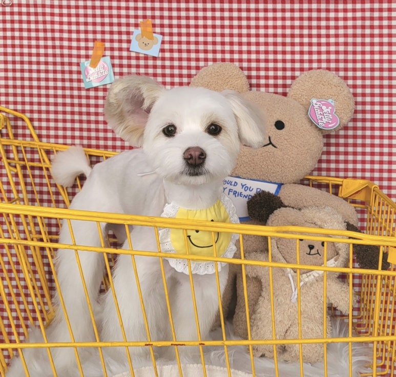 마이프렌드팬션 이미지