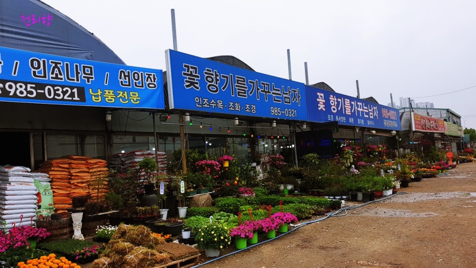 꽃향기를가꾸는남자 이미지