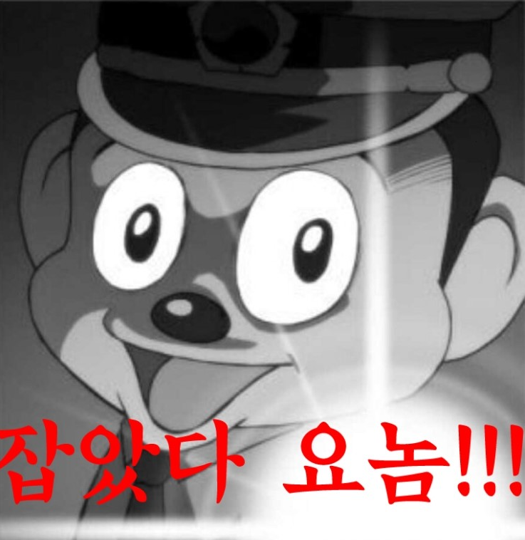 돈친 이미지