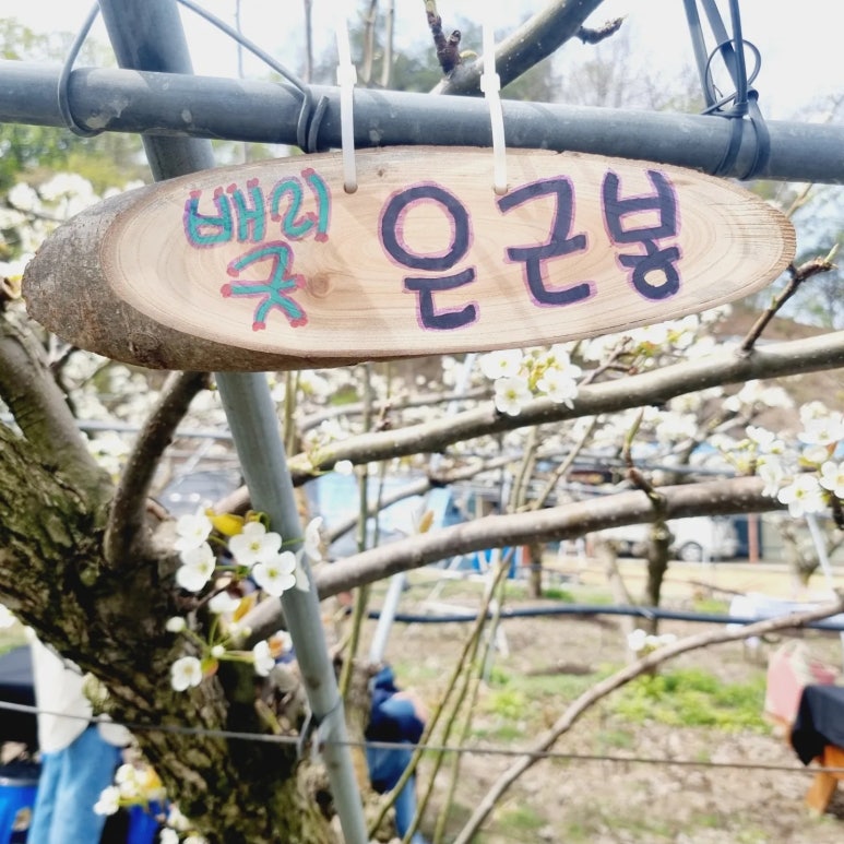 듀오가족농원 이미지