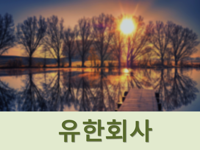 유한회사 수정 이미지