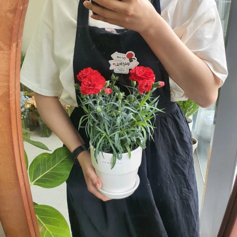 민지네꽃집 이미지