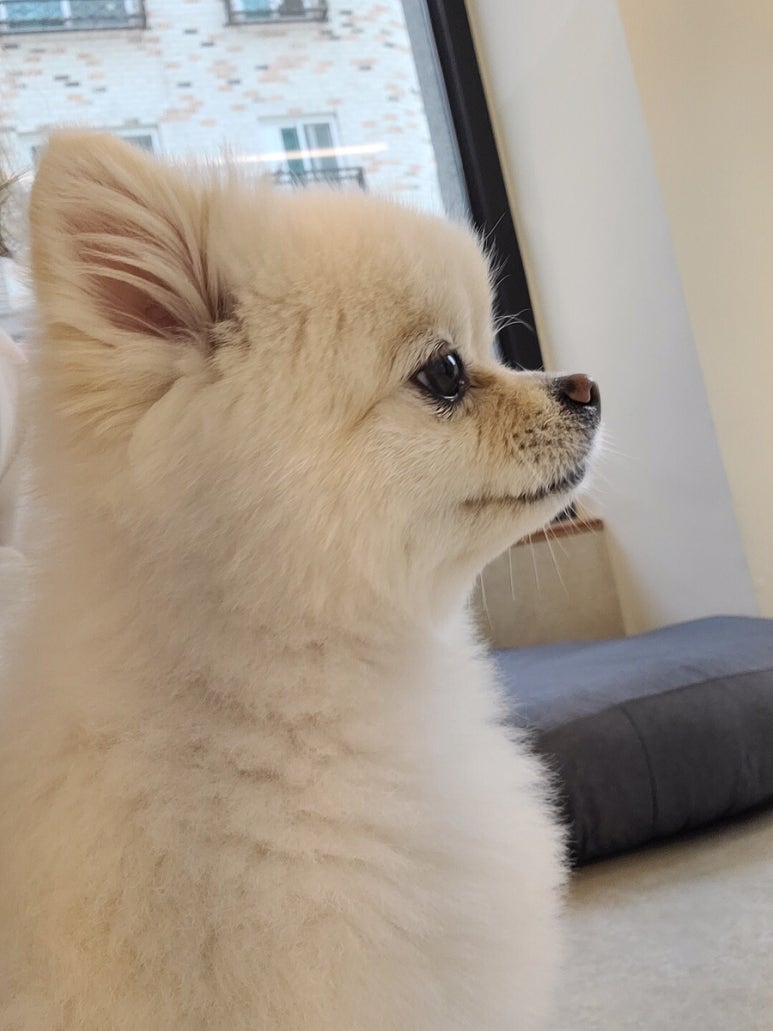 다미살롱 이미지