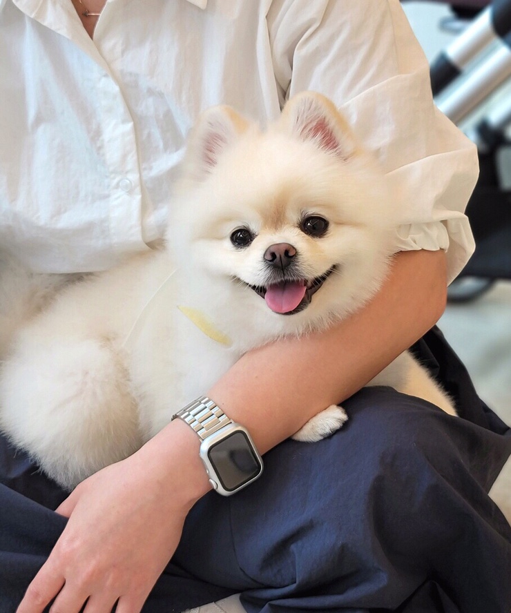 다미살롱 이미지