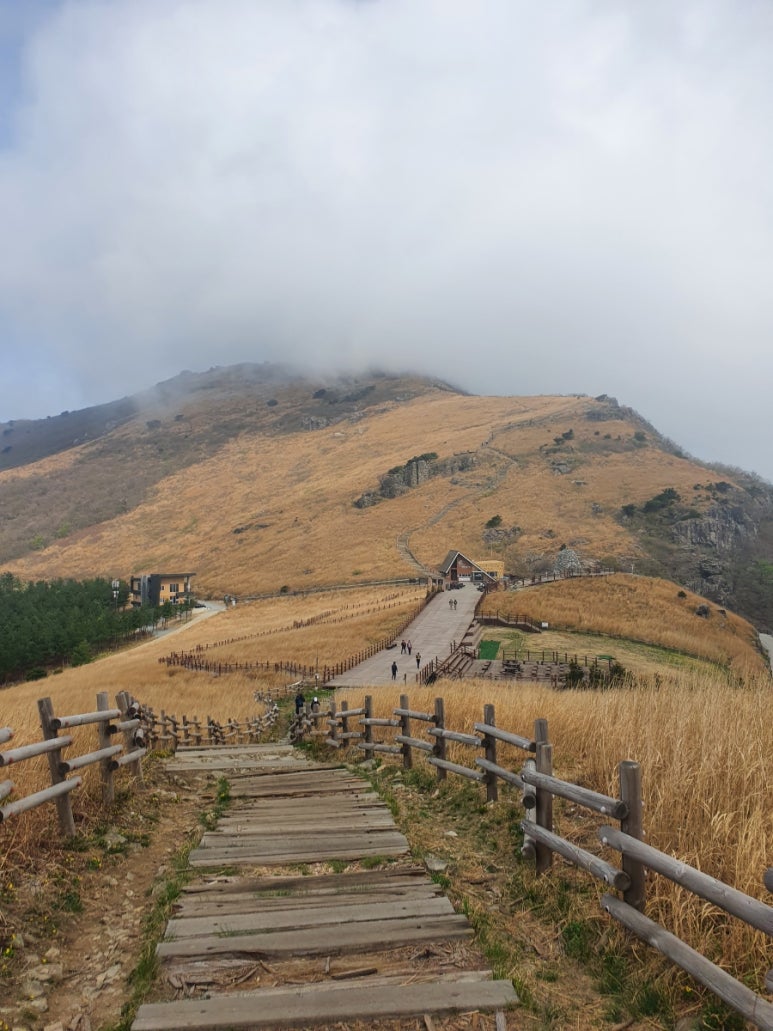 신불산휴게소 이미지