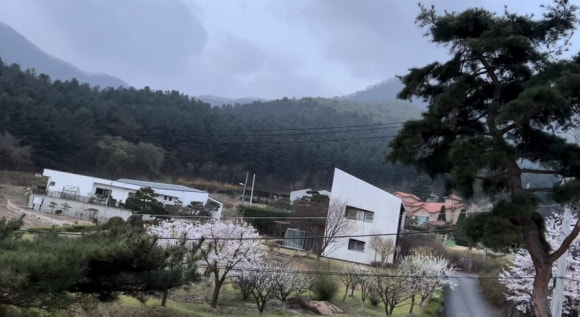브니엘의아침 이미지
