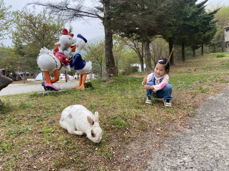 가래골농원 캠핑장 이미지