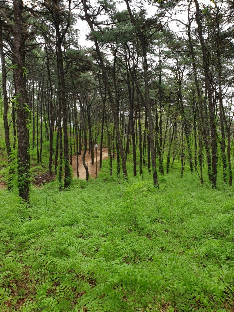 (주)연두 이미지