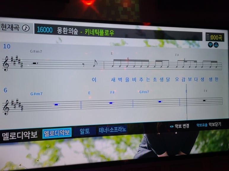 체리노래바 이미지