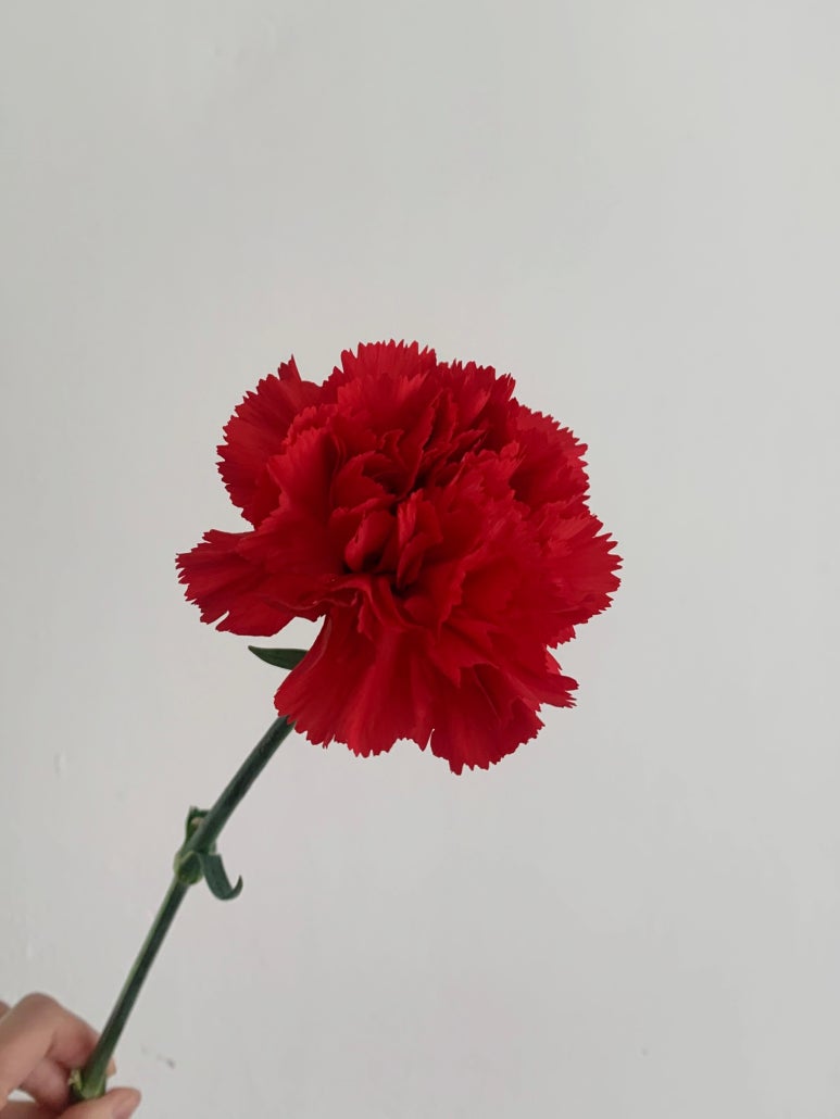 소월플라워 이미지