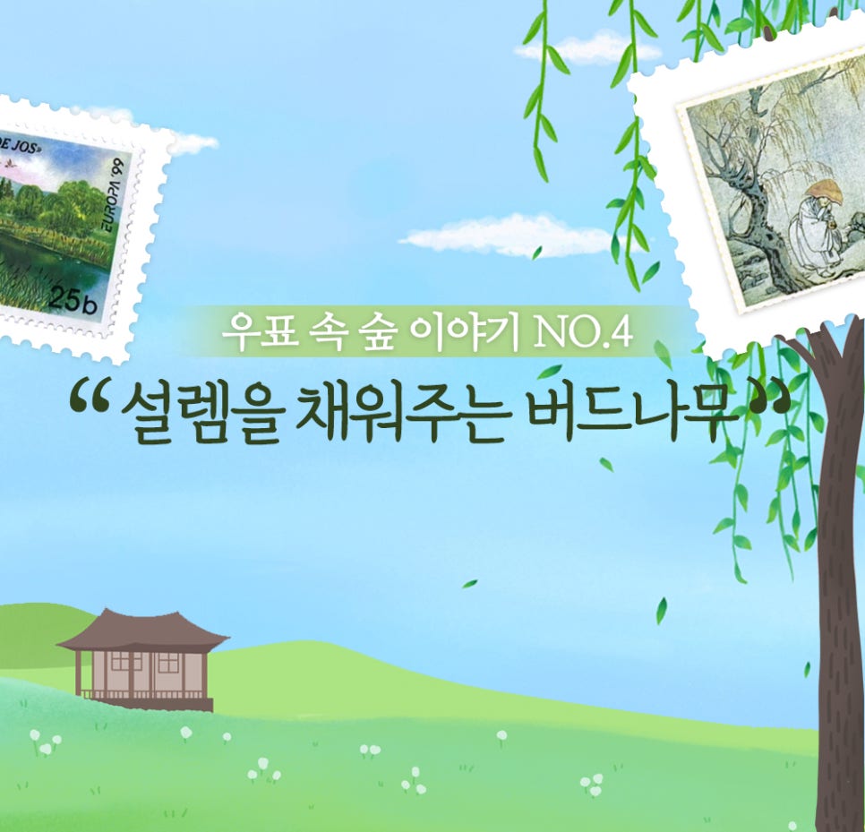 버드에너지 이미지