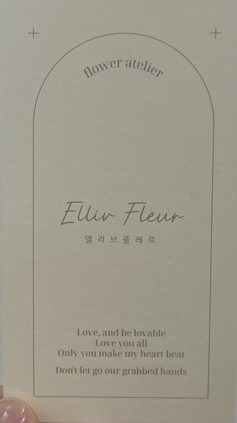 엘리브플레르 이미지