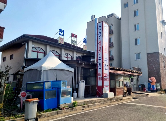 천송셀프 이미지