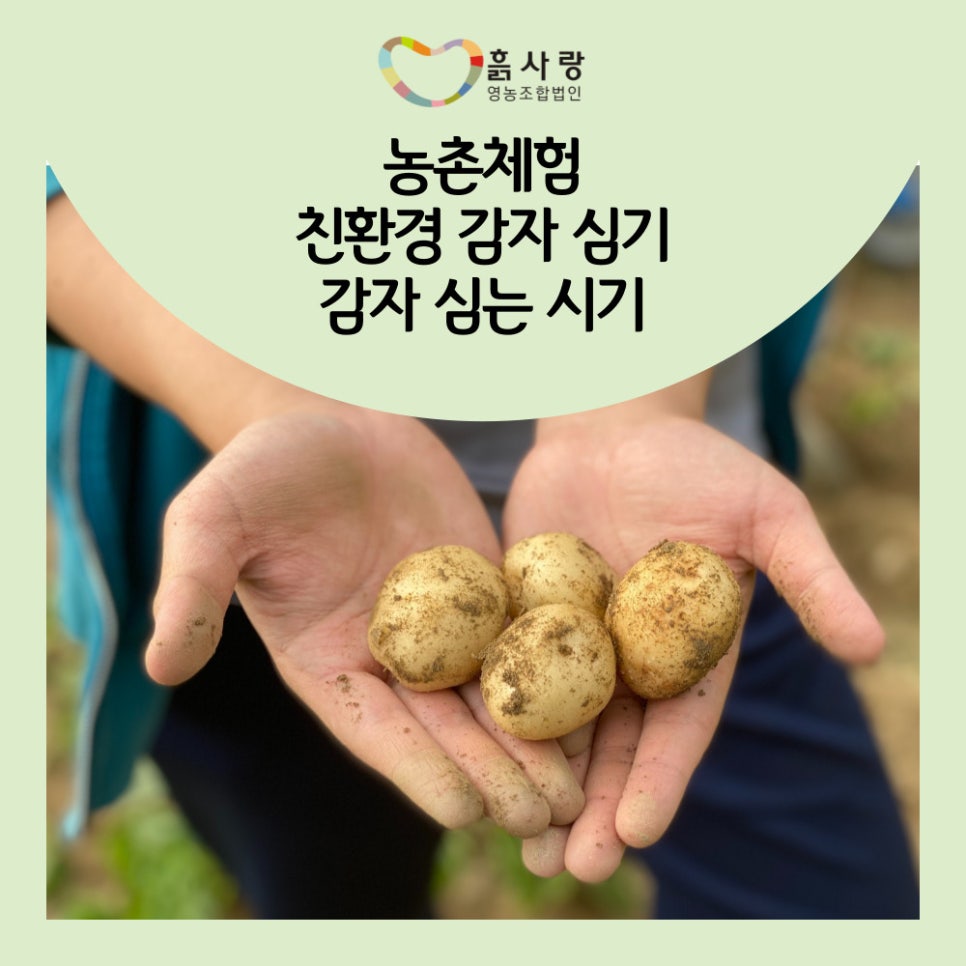 농촌사랑 영농조합법인 이미지