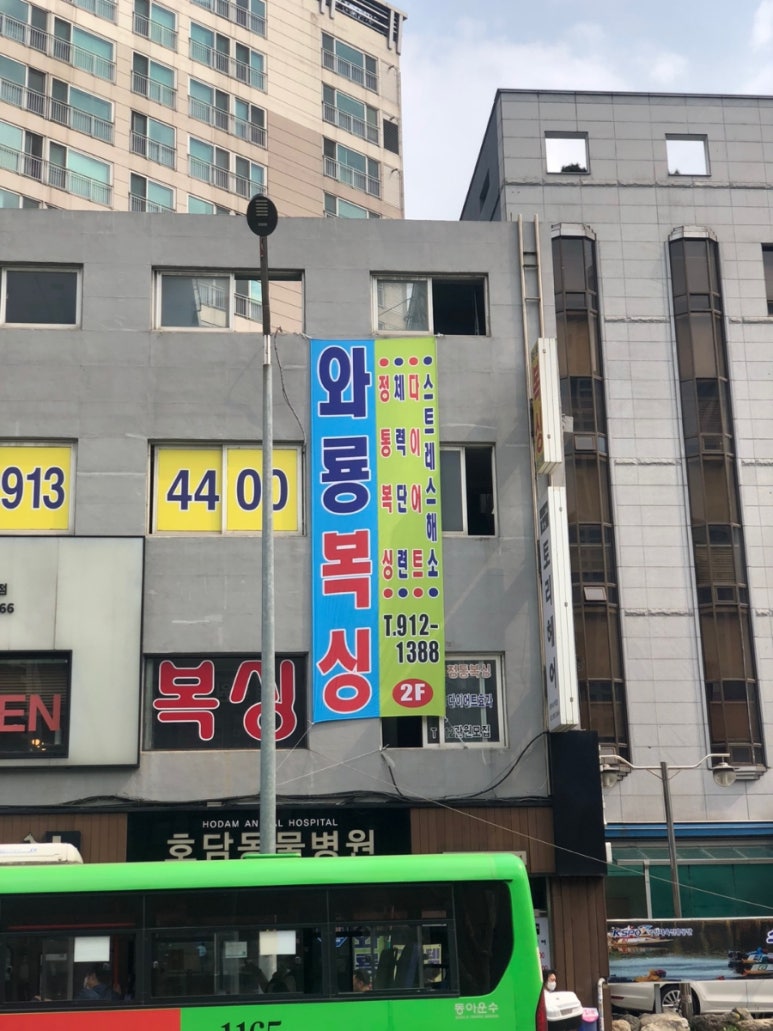 와룡복싱 이미지