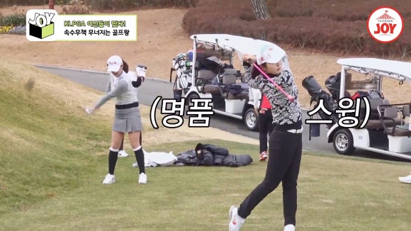 조선에프앤씨 이미지